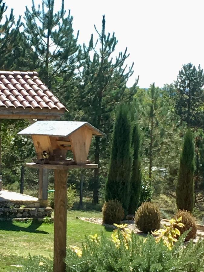 Bed and Breakfast Le Lion D'Or En Perigord Mauzac-et-Grand-Castang Екстер'єр фото