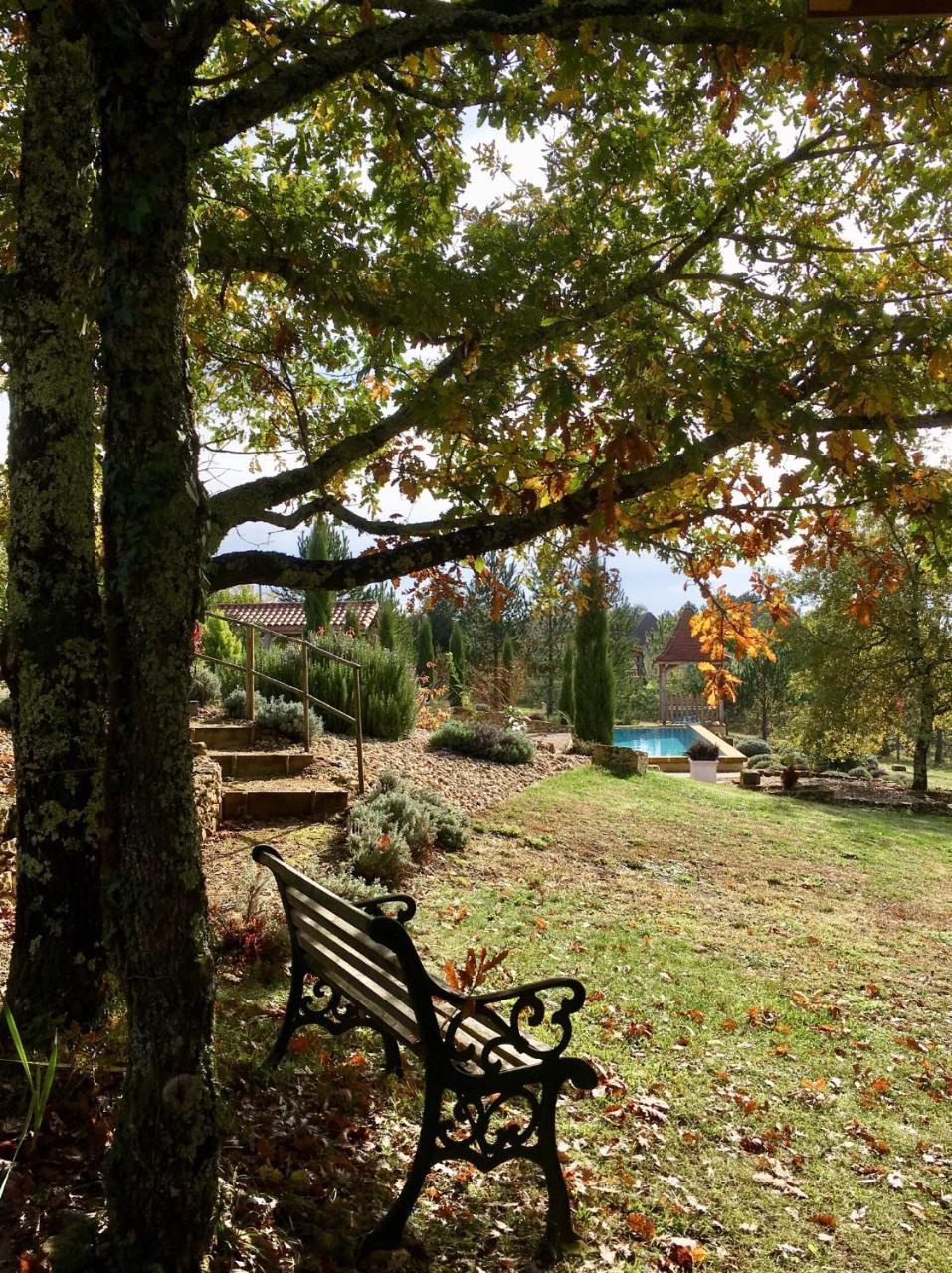 Bed and Breakfast Le Lion D'Or En Perigord Mauzac-et-Grand-Castang Екстер'єр фото